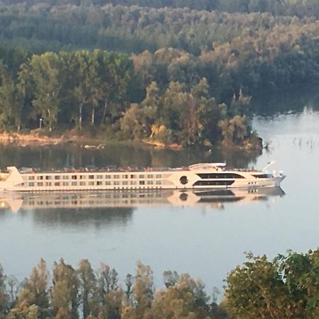 Villa Kuca Za Odmor Brzica Erdut Extérieur photo