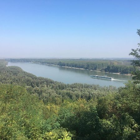 Villa Kuca Za Odmor Brzica Erdut Extérieur photo