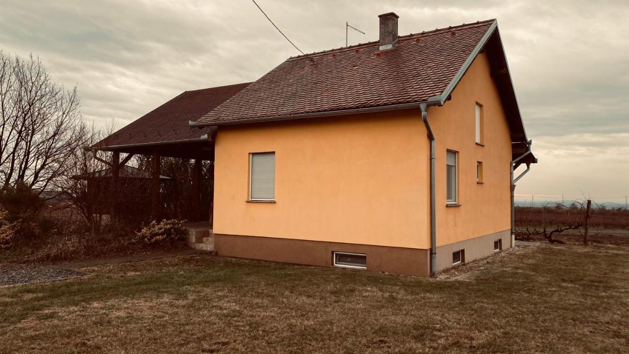 Villa Kuca Za Odmor Brzica Erdut Extérieur photo