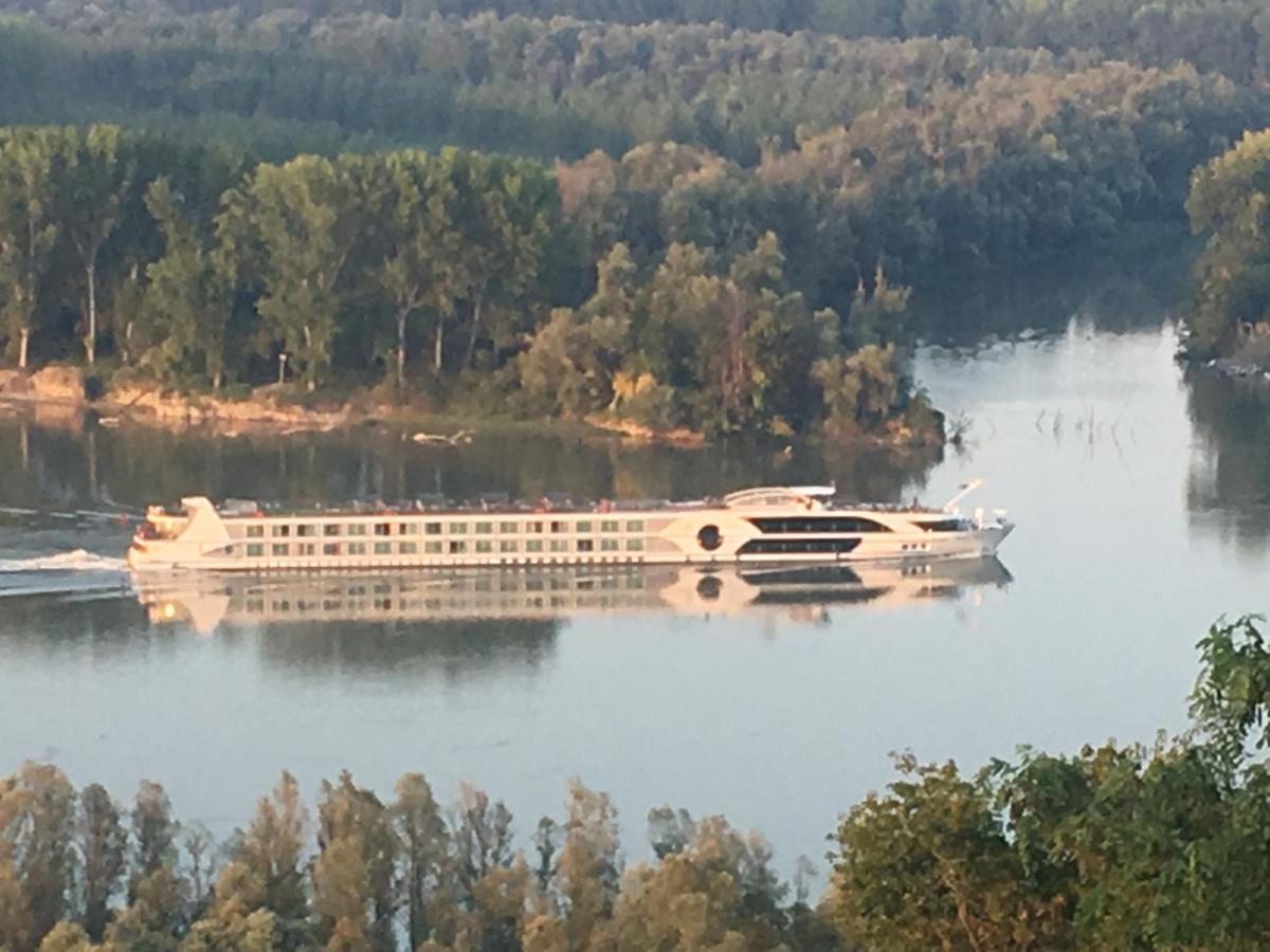 Villa Kuca Za Odmor Brzica Erdut Extérieur photo
