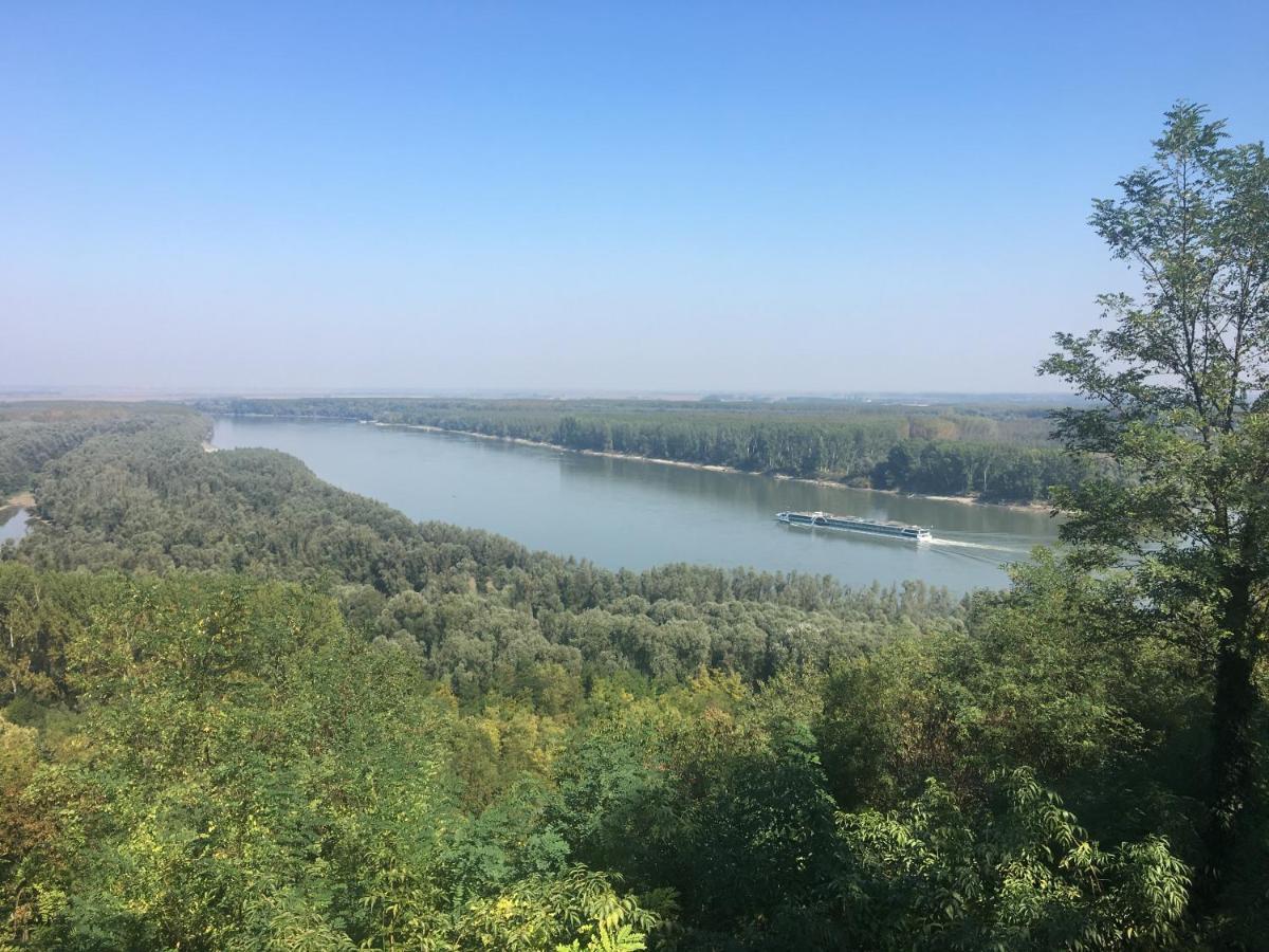 Villa Kuca Za Odmor Brzica Erdut Extérieur photo